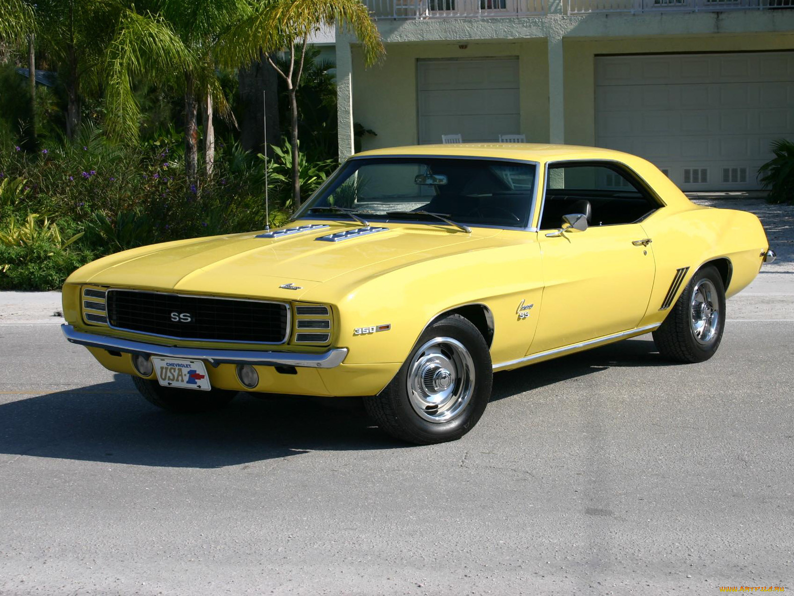 , camaro